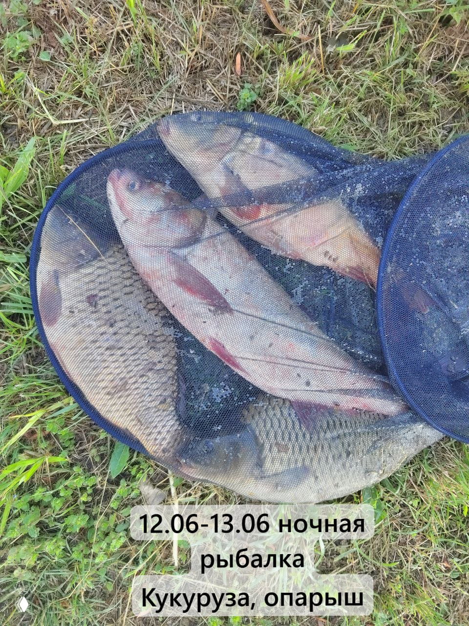 ДОБРЫЙ БОЦМАН — суточная рыбалка 08–09.06