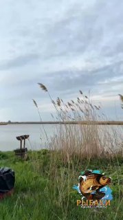 Панорамный кадр водоёма Капустяная Балка с камышом у берега, пасмурным небом и фирменным логотипом канала на переднем плане.