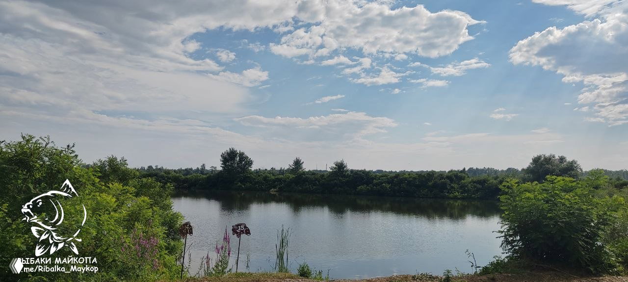 МОРОЗОВСКИЕ ПРУДЫ — отчёт