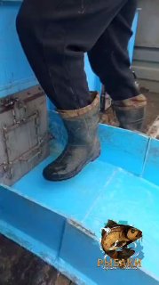 Крупный план резиновых сапог на синем помосте трапа во время операции по зарыблению пруда, видны следы воды и оборудования.