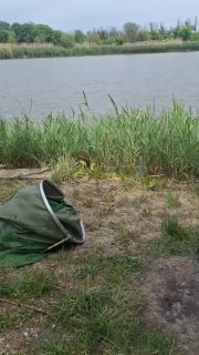 Берег водоёма с травой и пустой садковой сумкой на переднем плане; спокойная вода и заросли камыша на противоположном берегу.