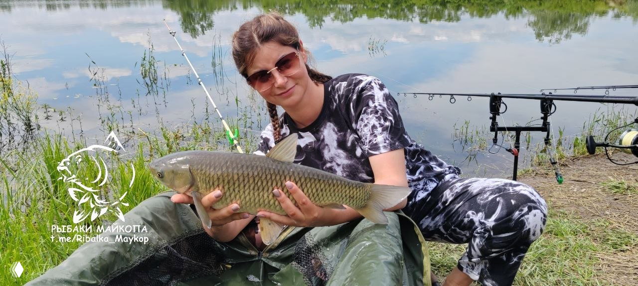 Девушка в солнечных очках держит крупного сазана у воды, на заднем плане удилища и заросли на берегу Морозовских прудов.