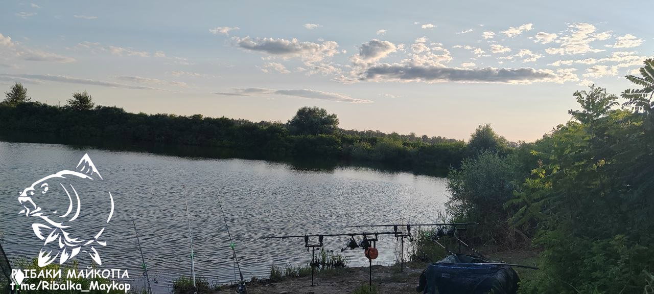 МОРОЗОВСКИЕ ПРУДЫ — 24–26 июля, отчёт