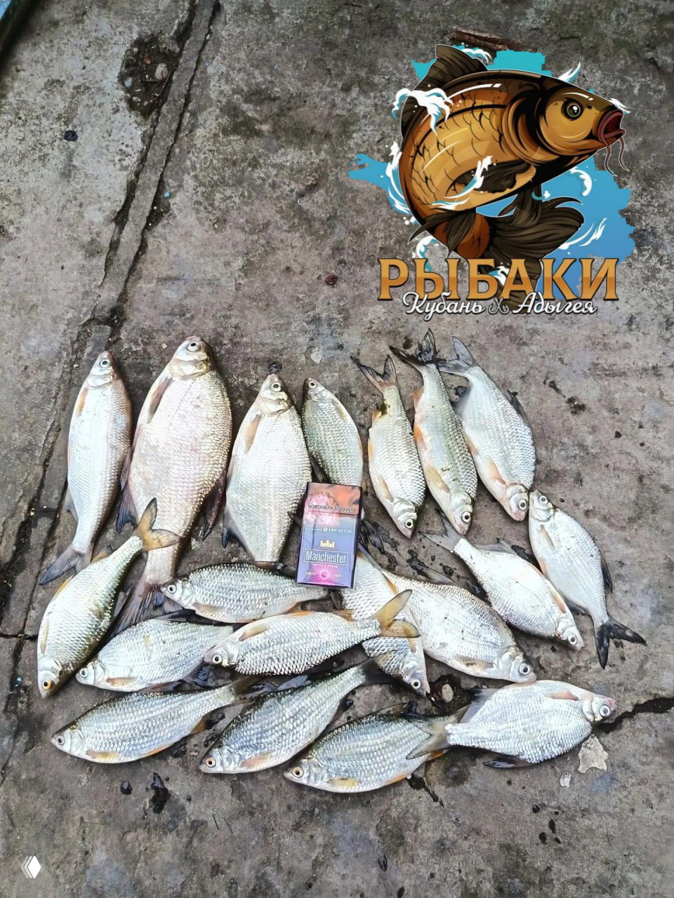 Кубань, х. Урма — отчёт 11:00–14:00
