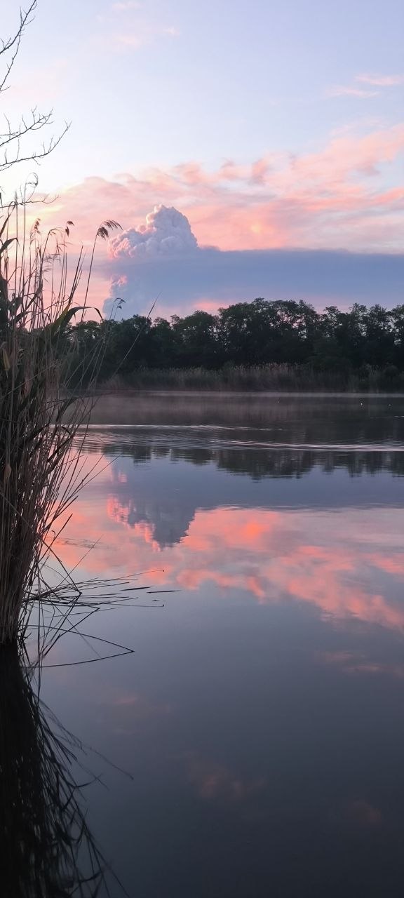 Фамилия — сутки на водоёме 05–06.06