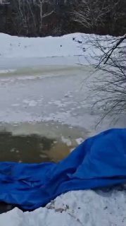 Промоина во льду у берега зимой, синий тент на переднем плане, открытая вода, ломанные кромки льда и заснеженные деревья в фоне, видны следы работ