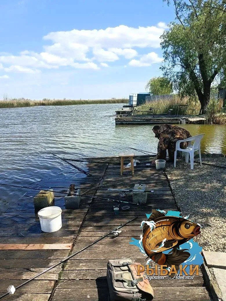 Место ловли на пристани: удочки, ведро и пластиковый стул у воды, берег с камышом и подсобными постройками на заднем плане.