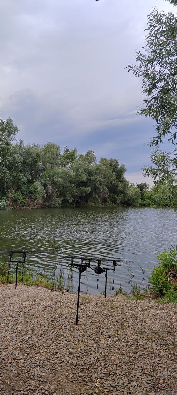 МОРОЗОВСКИЕ ПРУДЫ — 10–12 июля, отчёт