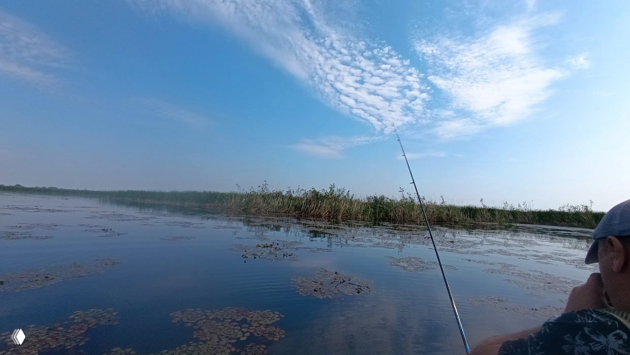 Шапшуга сегодня (20.09) — отчёт
