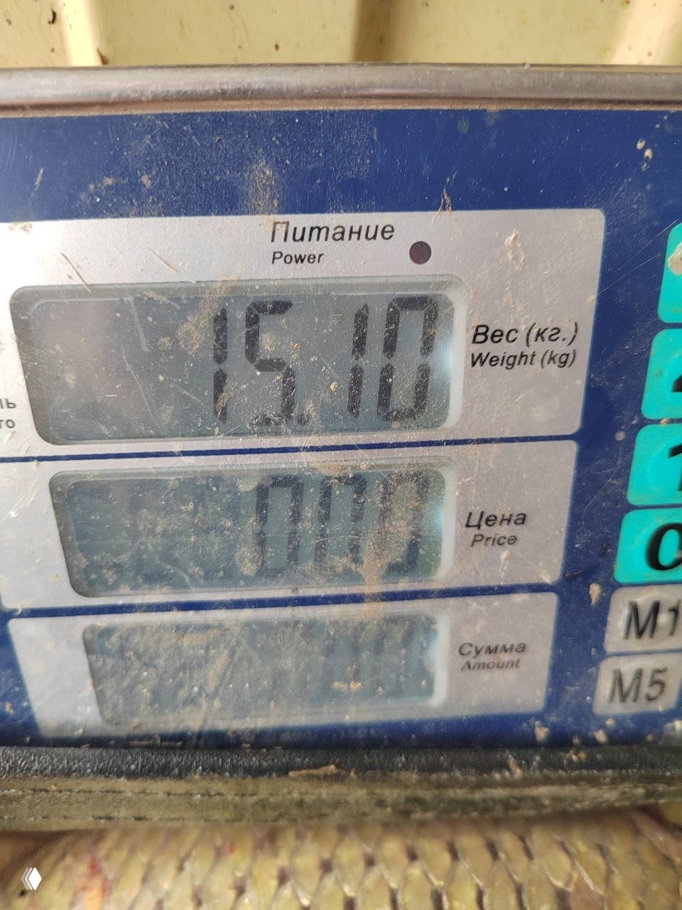 Елизаветинские пруды — отчёт 24.05.26