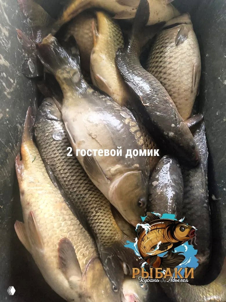 ЕЛИЗАВЕТИНСКИЕ ПРУДЫ — 05.05