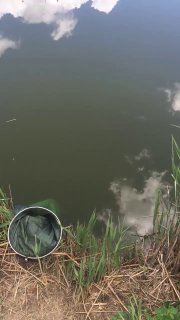 Берег водоёма с ёмкостью для рыбы и сетью, на воде отражаются облака — сцена утренней рыбалки в Пригибском.