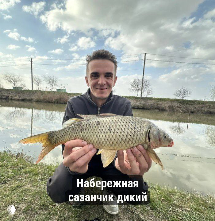 Рыбак держит крупного сазана на набережной пруда в светлую погоду; видно отражение воды и прибрежный пейзаж.