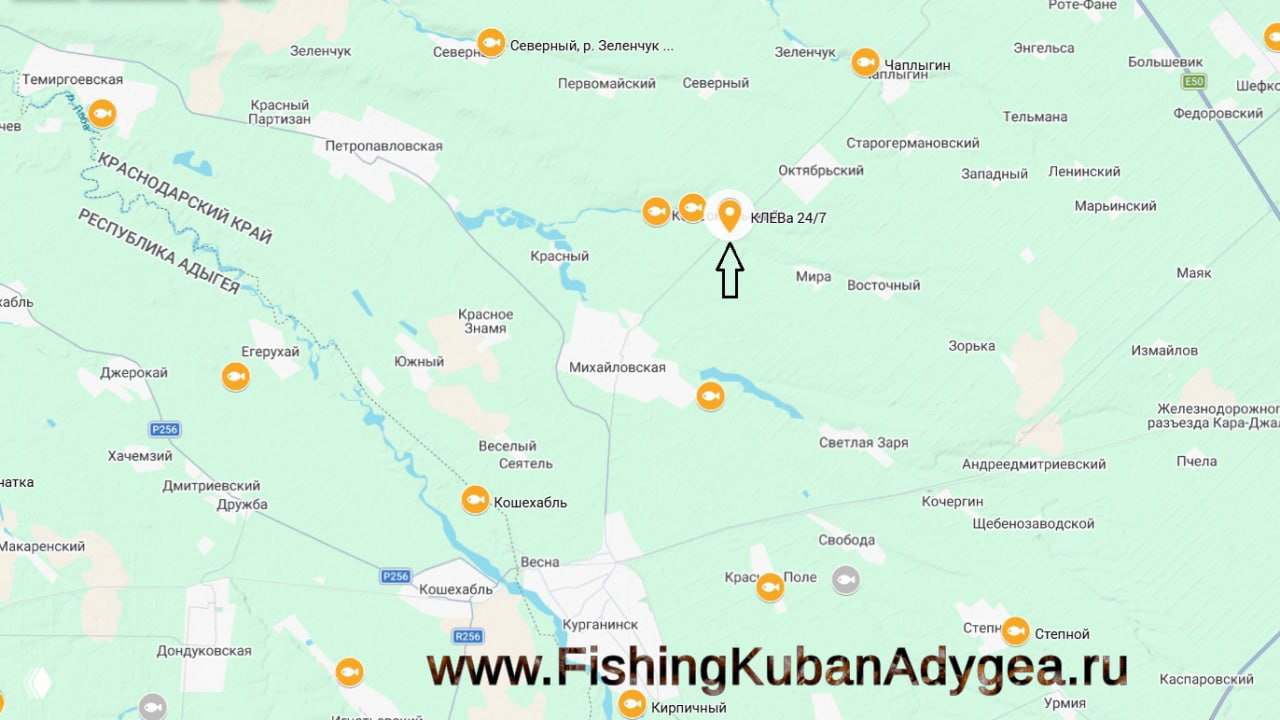 Платная рыбалка КЛЕВА 24/7 (Комсомольский)