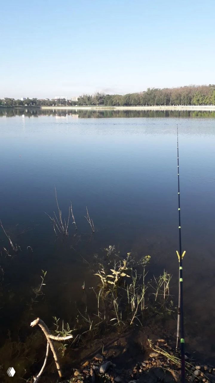 Отчёт: рыбалка на Армавирском водохранилище 7.06.26