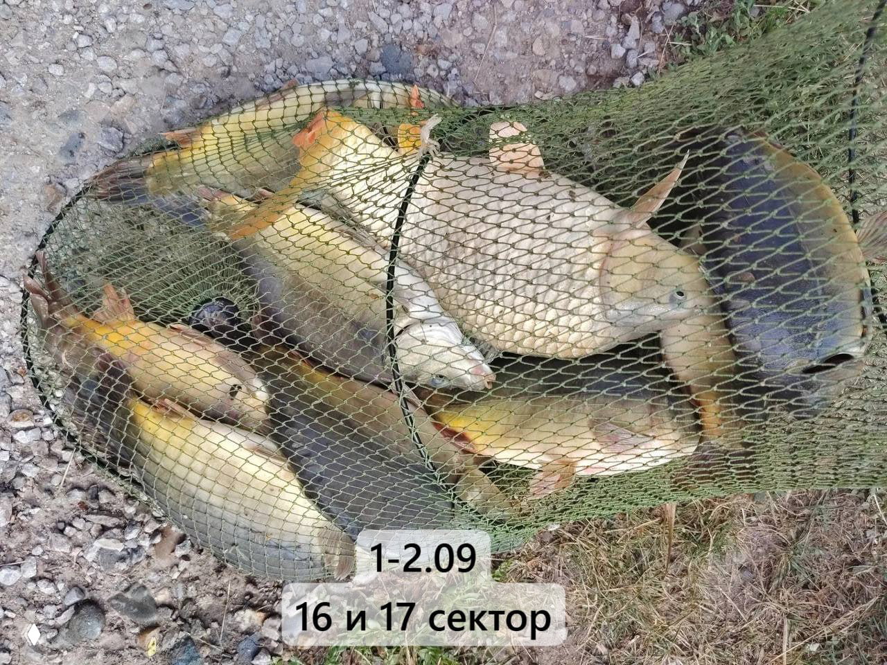 ДОБРЫЙ БОЦМАН