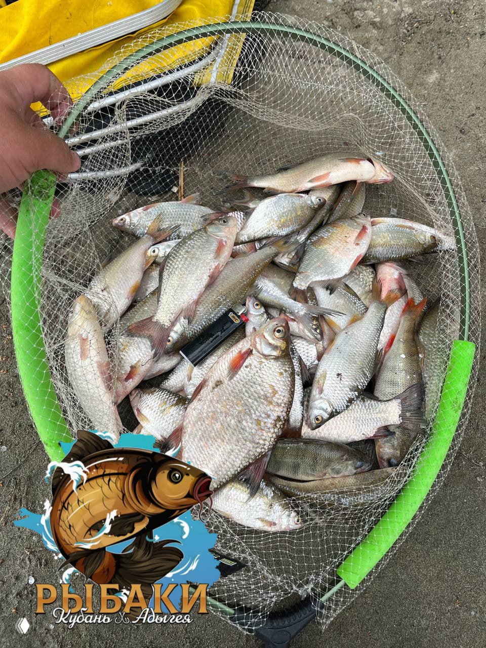 Простоквашино с 11 до 17 🎣
