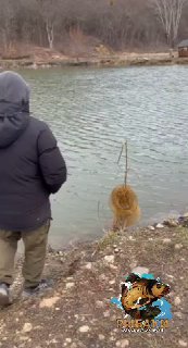 Рыболов в тёмной куртке стоит у воды на Серебряных прудах, кадр со спины, прибрежная галька и логотип сообщества на фото.