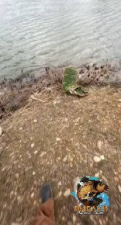 Крупный план прибрежной полосы с камнями и случайным предметом на берегу; часть обуви фотографа видна и присутствует логотип канала.