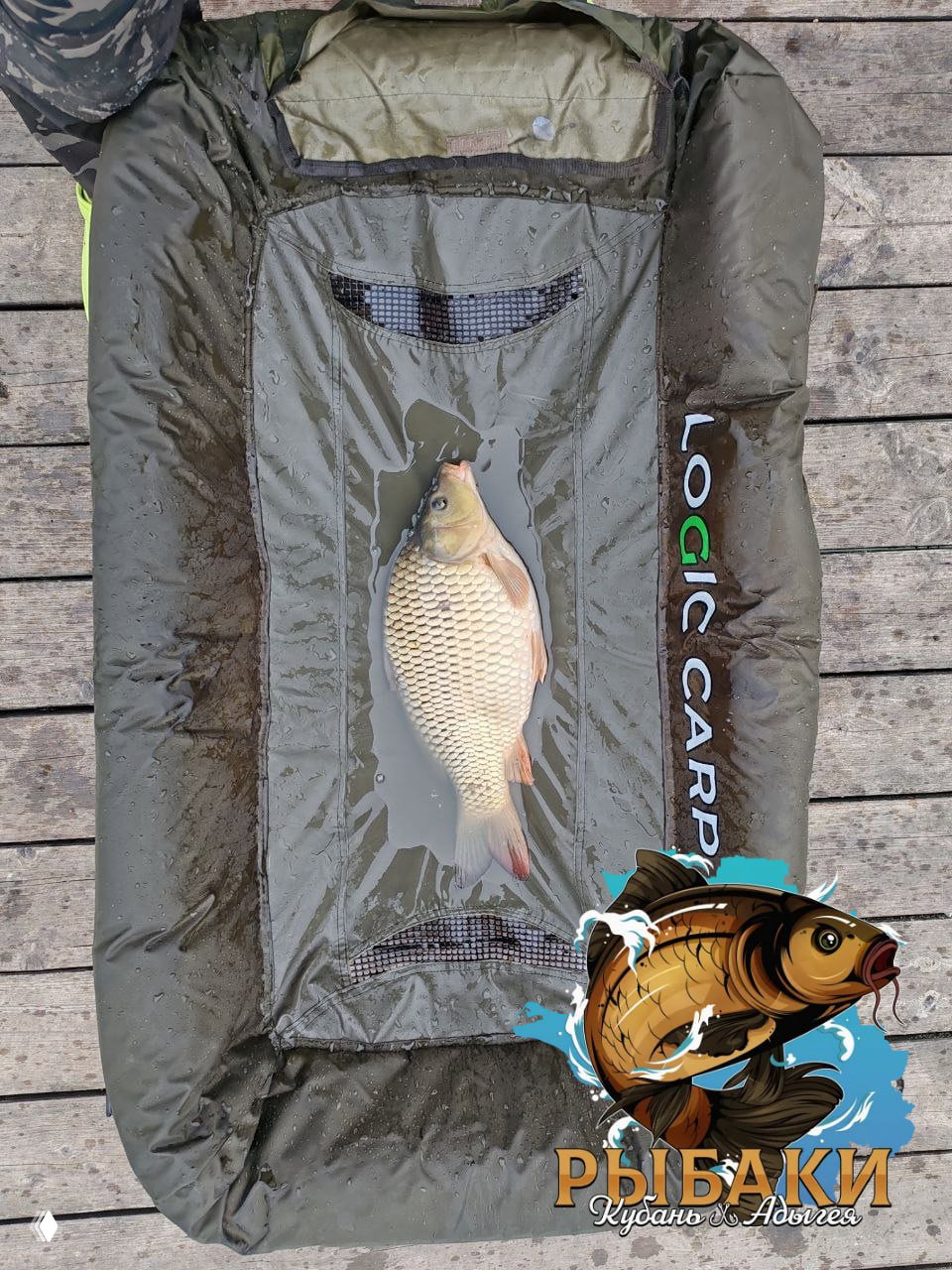 Средний карп размещён в матраце Logic Carp на деревянном причале; кадр крупным планом показывает чешую и форму тела рыбы перед съёмкой.