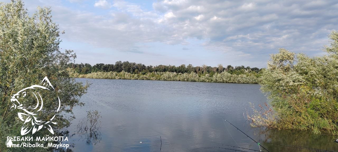 МОРОЗОВСКИЕ ПРУДЫ, 14–16 августа