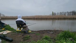 Панорамный кадр реки с рыбаками на переднем плане: двое сидят на складных креслах, спиннинг направлен в сторону воды, заросли тростника на другом берегу.