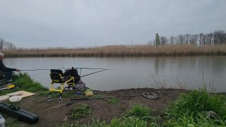 Широкий план места ловли с двумя креслами и удилищами, видна подготовленная площадка для рыбалки на берегу реки, зелёная трава и грязь.