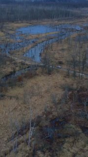 Аэрофотоснимок болотистой местности с извилистыми протоками, редкими деревьями и тёмными лужами — визуальная метафора образа «болото» из поста о наполнении.