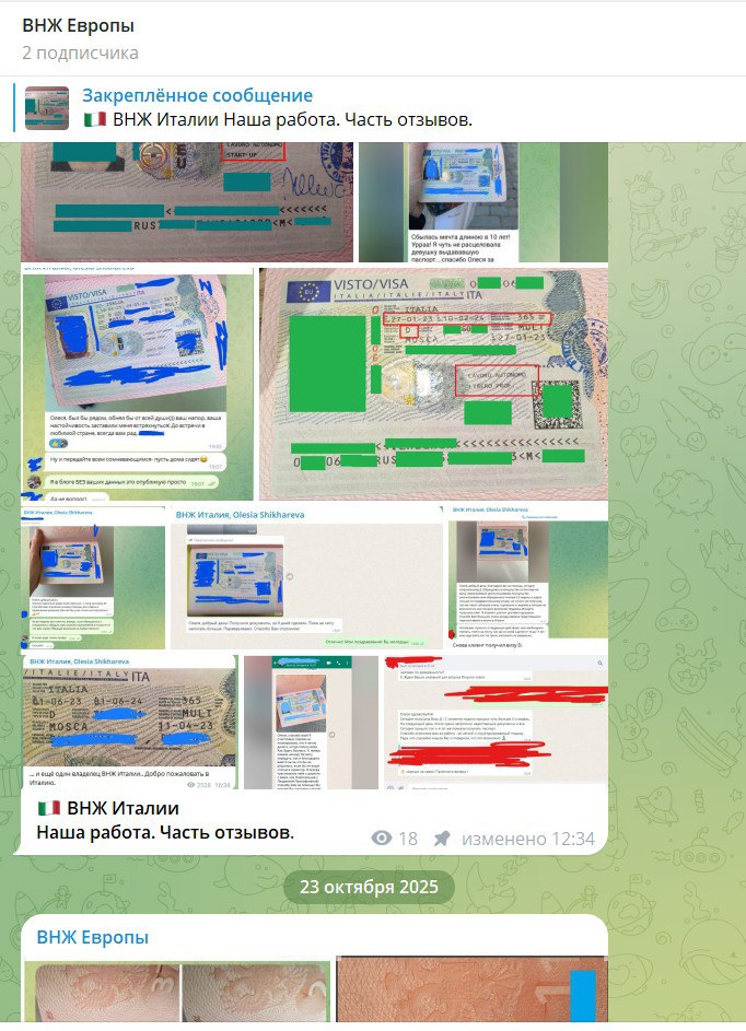 Коллаж-скриншот из Telegram-канала с отзывами и примерами виз; на изображениях персональные данные скрыты, видно множество примеров работ.