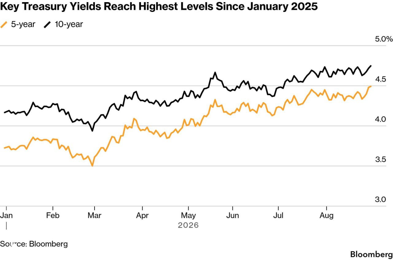 Key sovereign yields reach multi-year highs