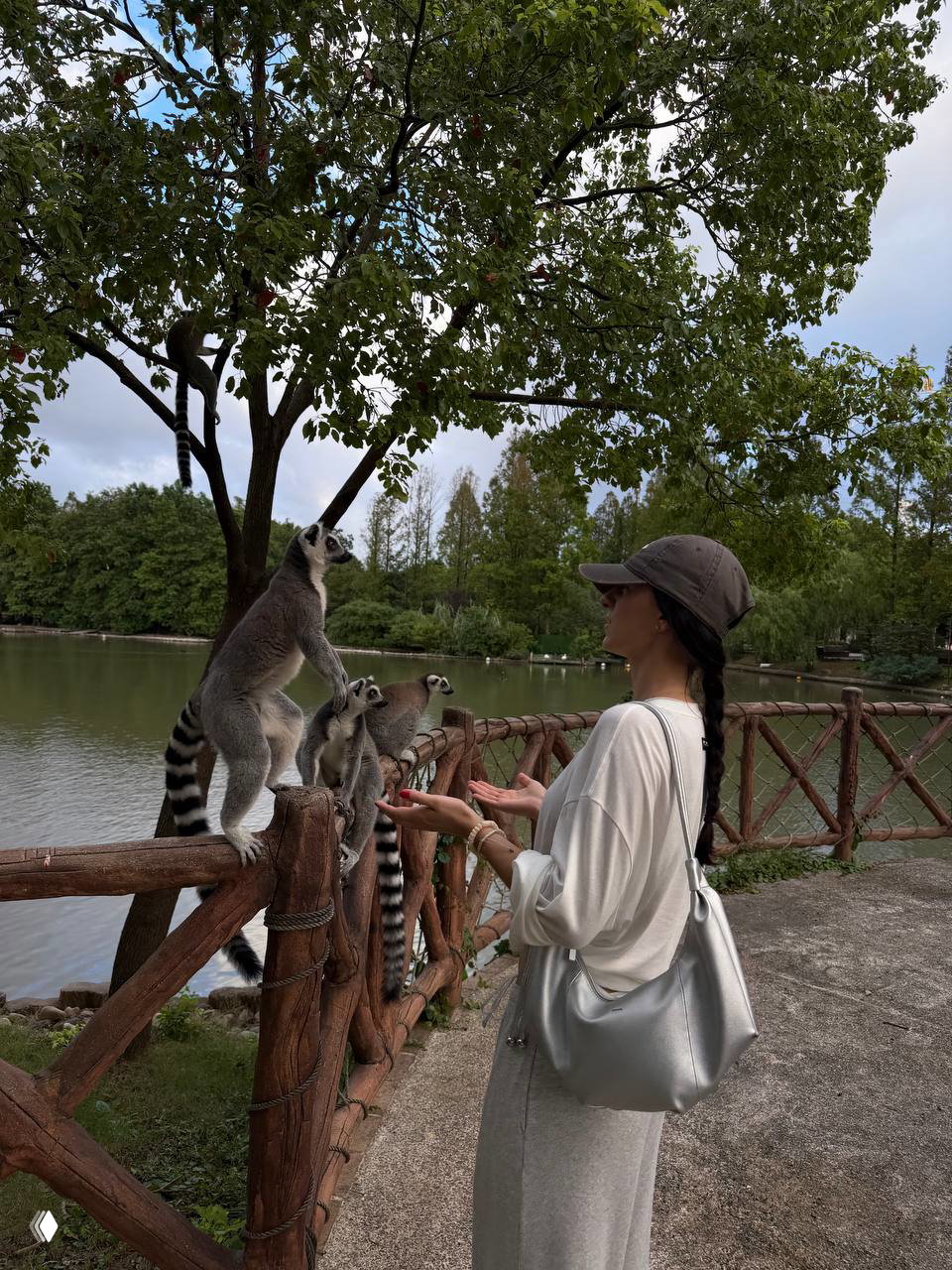 Лемуры и красная панда в Shanghai Wild Animal Park