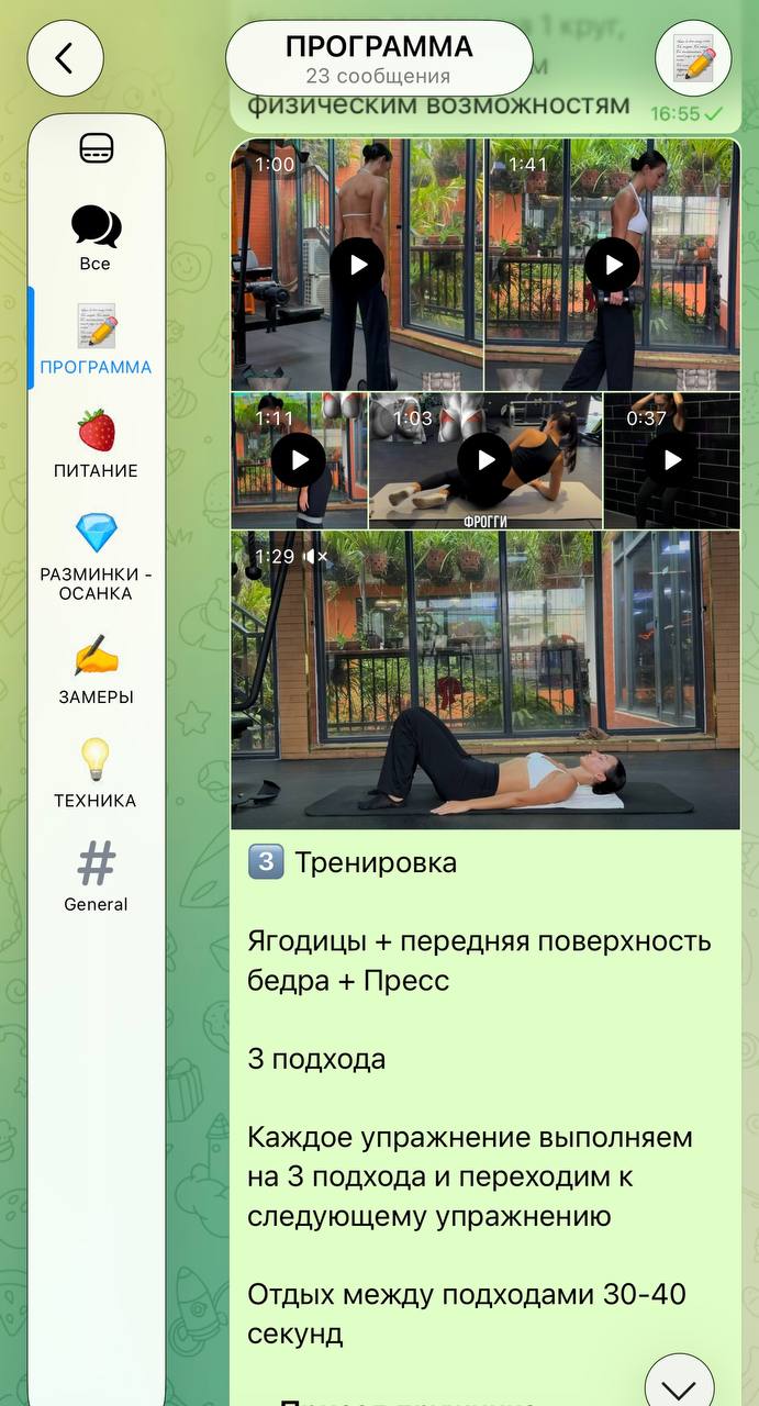 Экран программы с миниатюрами видео упражнений, текстом тренировки «Ягодицы + передняя поверхность бедра + Пресс» и боковым меню разделов.