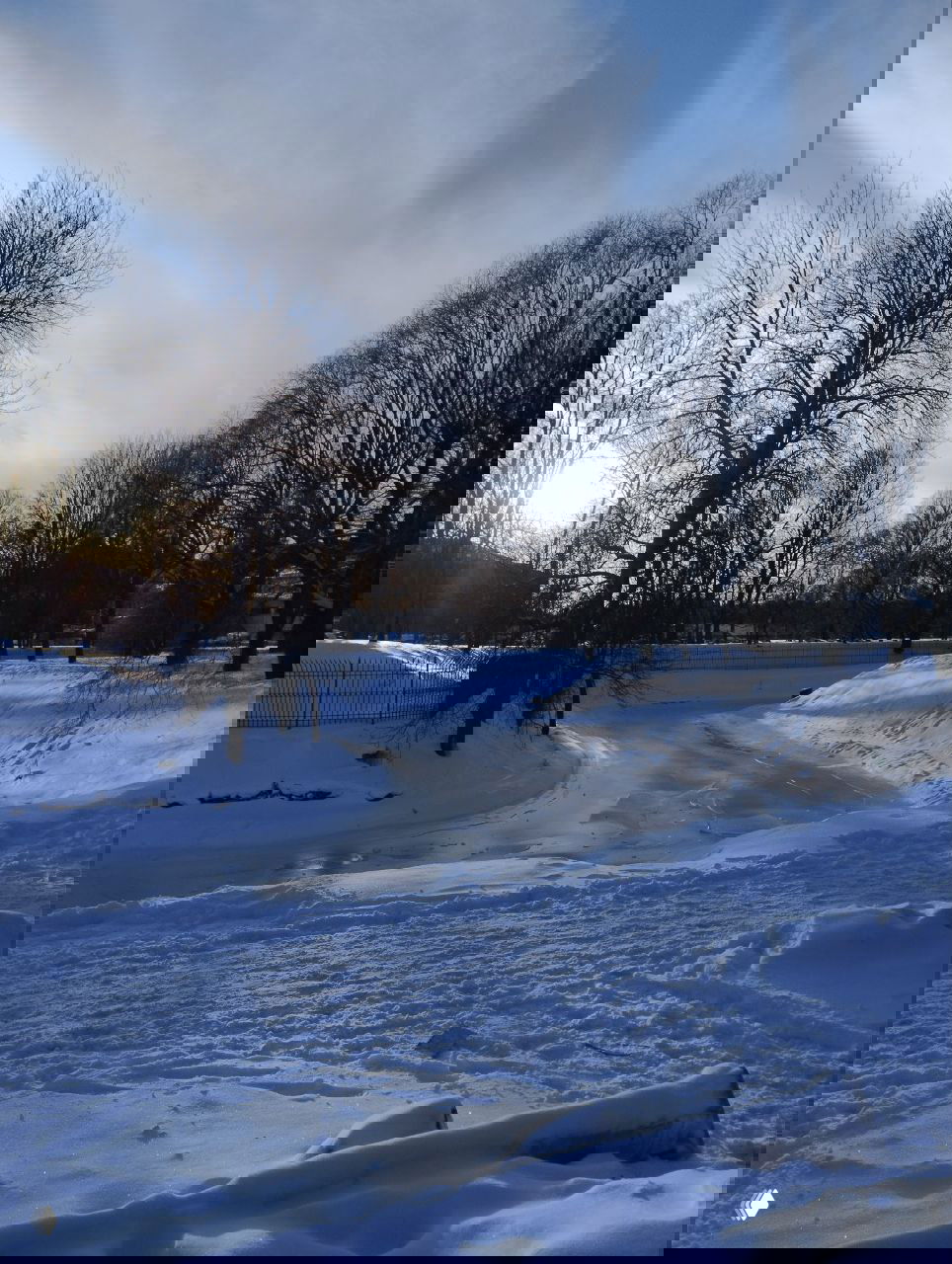 Дайджест зимних постов