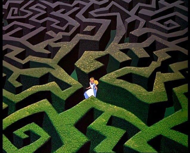 Мозг почти всегда ненавидит новое