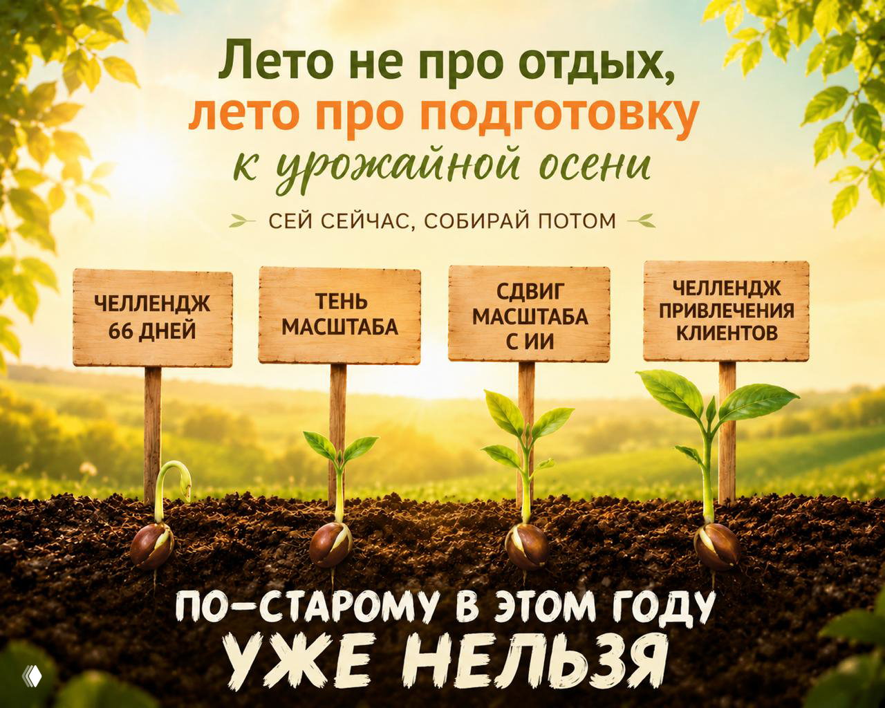 Лето не про отдых: сдвиг масштаба