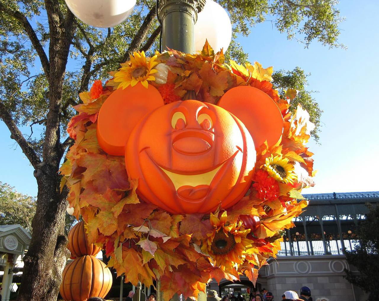 Билли Айлиш поделилась октябрьскими снимками