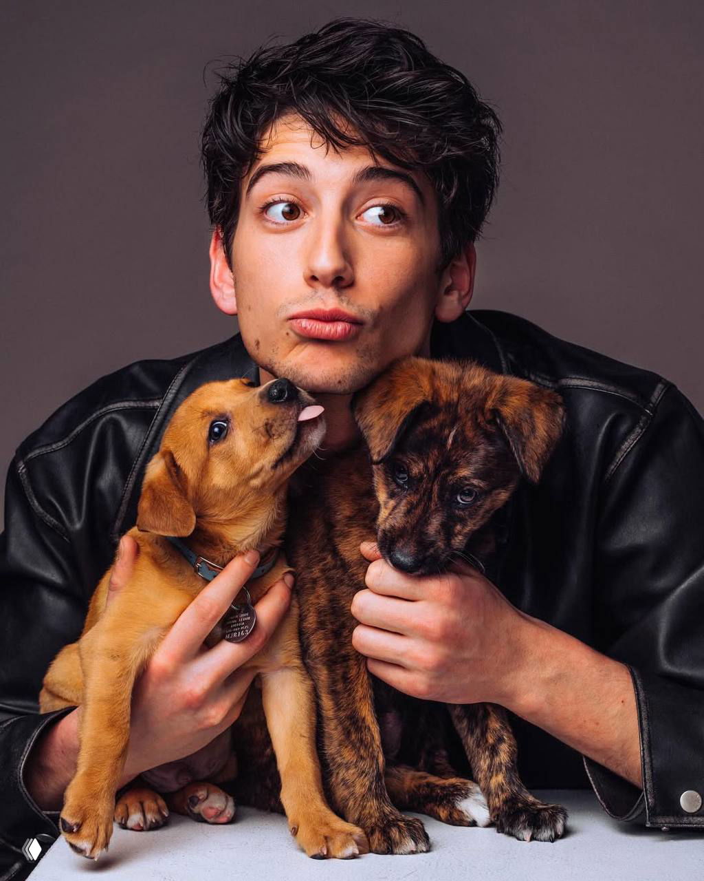 Молодой мужчина в тёмной куртке держит двух щенков на руках, студийное фото с тёплым освещением и игривой атмосферой.