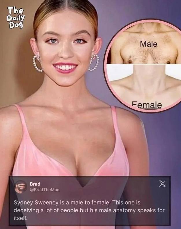 Коллаж с фото молодой женщины и вставкой с графическим сравнением мужской и женской анатомии верхней части туловища, использованный для аргументации теории.