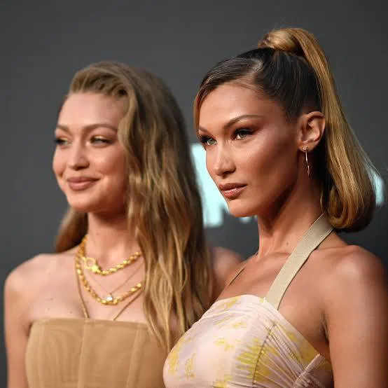 Семья Хадид в центре обсуждения