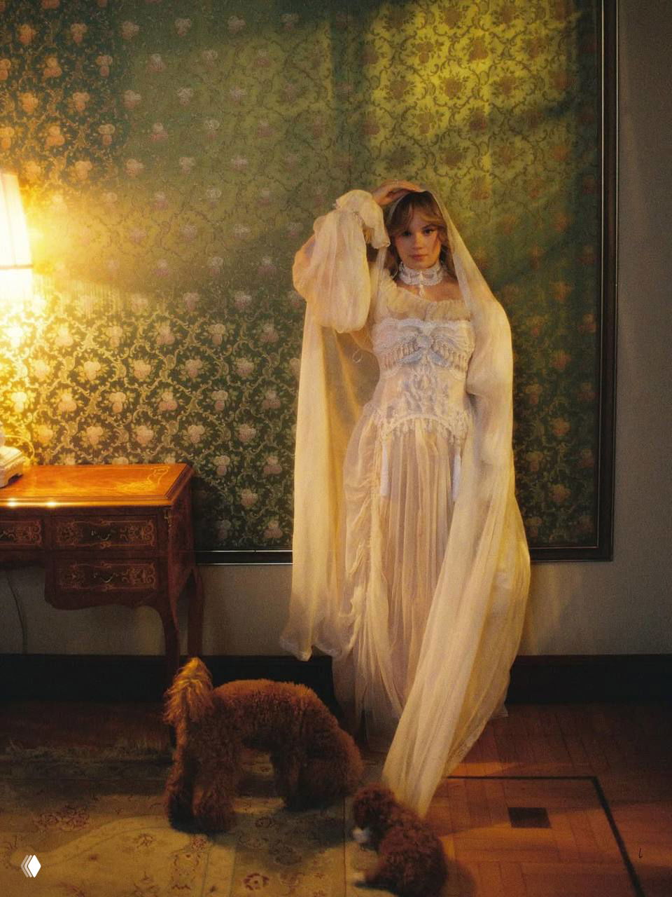 Невеста в длинном прозрачном платье и вуали у узорной стены; внизу кадра два маленьких коричневых пса, создающие домашнюю атмосферу.