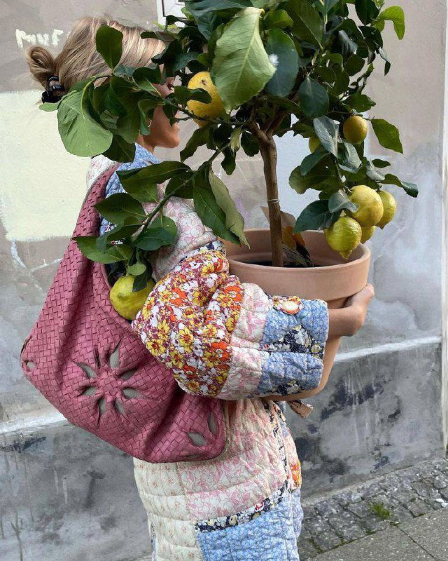 Загадка: Алисе позавчера было 5, а в следующем году 8