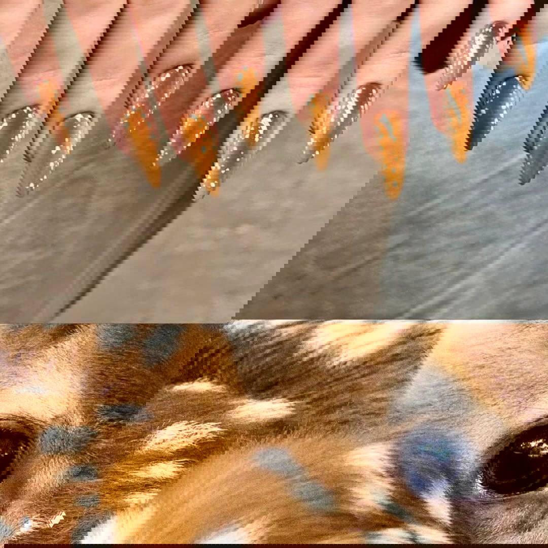 Длинные заострённые ногти коричневого оттенка с белыми точками на фоне крупного плана морды оленёнка — сочетание маникюра и натуралистичного принта.