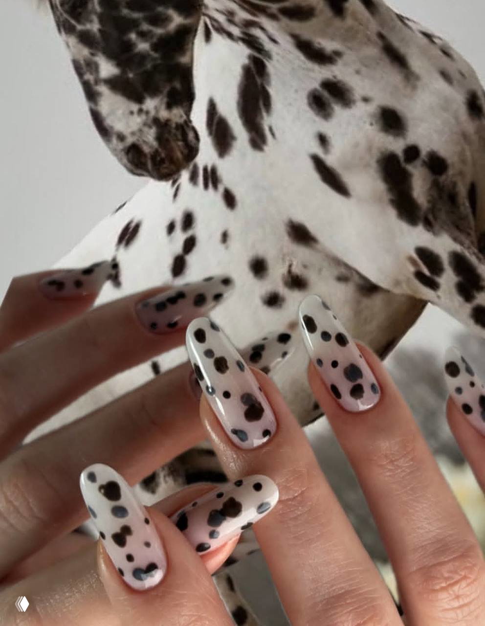 Маникюр «под далматинца»: светлая основа с хаотичными чёрными пятнами на фоне далматинца, контрастный принт и аккуратный глянцевый финиш.