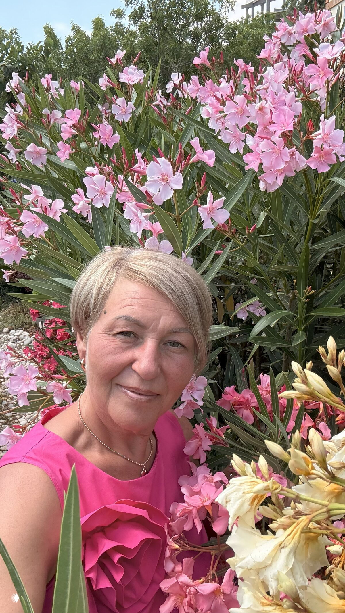 Портрет женщины в розовом платье на фоне цветущих кустов и зелени; летняя атмосфера, садовые растения в кадре.