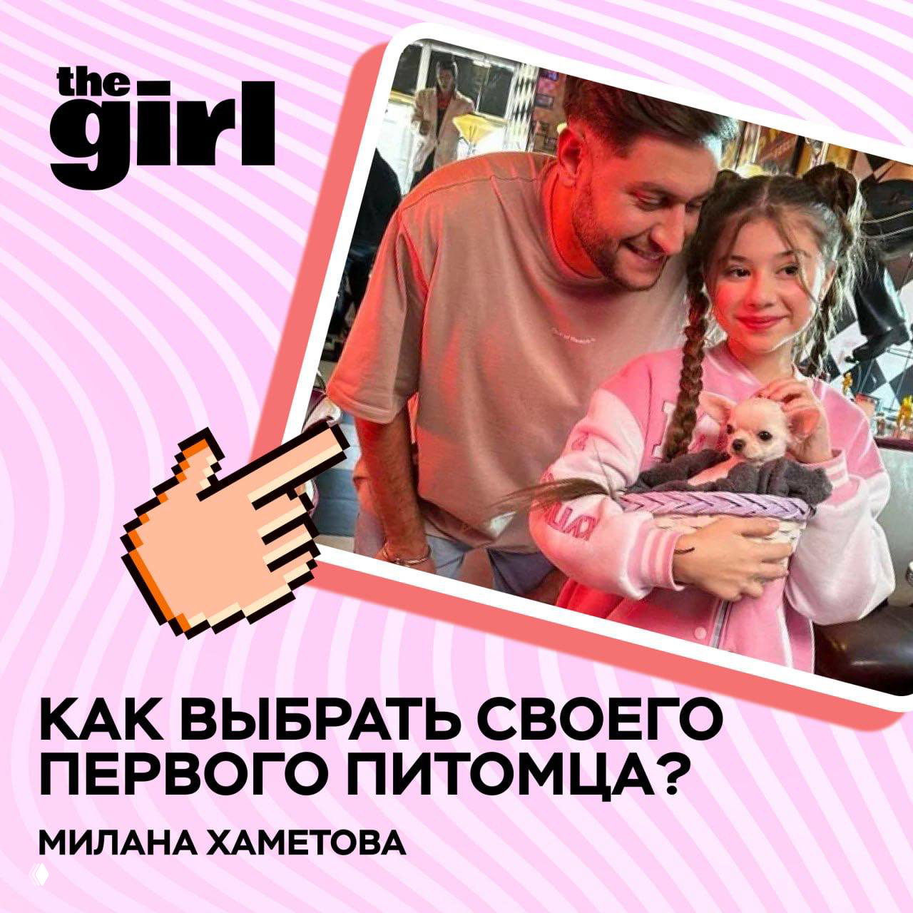 Как выбрать первого питомца и быть готовым