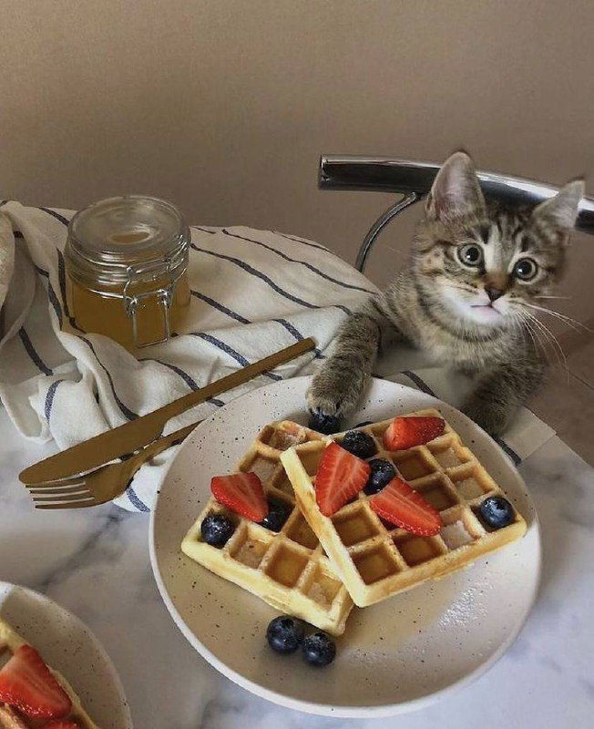 Полосатый котёнок тянется к тарелке с вафлями, на столе сироп и ягоды — игровая сцена завтрака с любопытным питомцем.