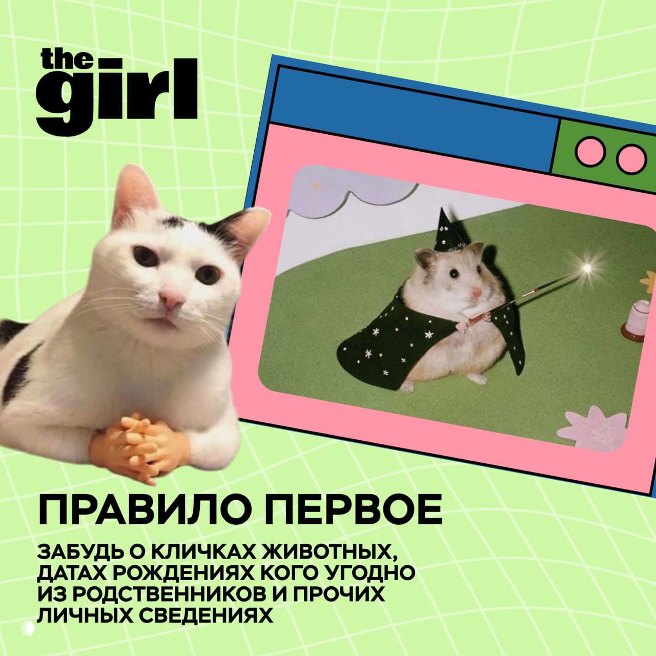 Правило первое: коллаж с котом и хомяком-волшебником и текстом о том, чтобы не использовать клички животных и даты рождения в паролях