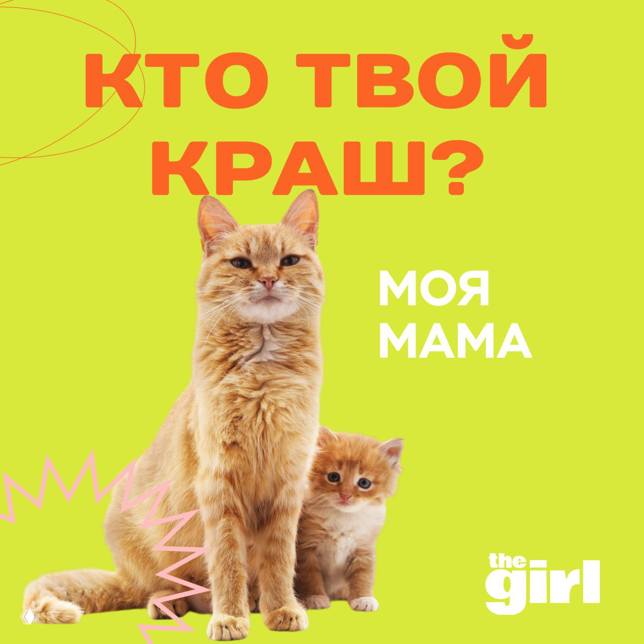 Фотография рыжей взрослой кошки и котёнка на салатном фоне с надписью «Кто твой краш? Моя мама» и логотипом theGirl — милый финальный слайд анкеты.