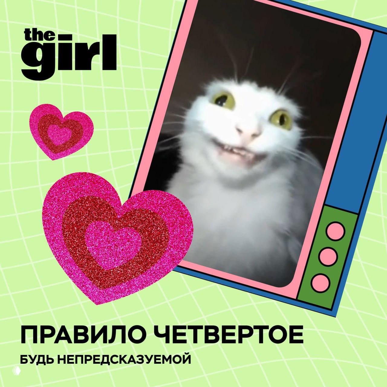 Правило четвёртое: фото белой кошки и декоративные сердечки, подпись советует быть непредсказуемой при выборе пароля