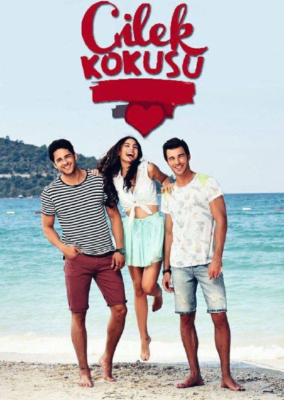 Постер сериала «Запах клубники» (Çilek Kokusu): трое молодых героев на пляже у моря, летний фон и лёгкая романтическая атмосфера на изображении.